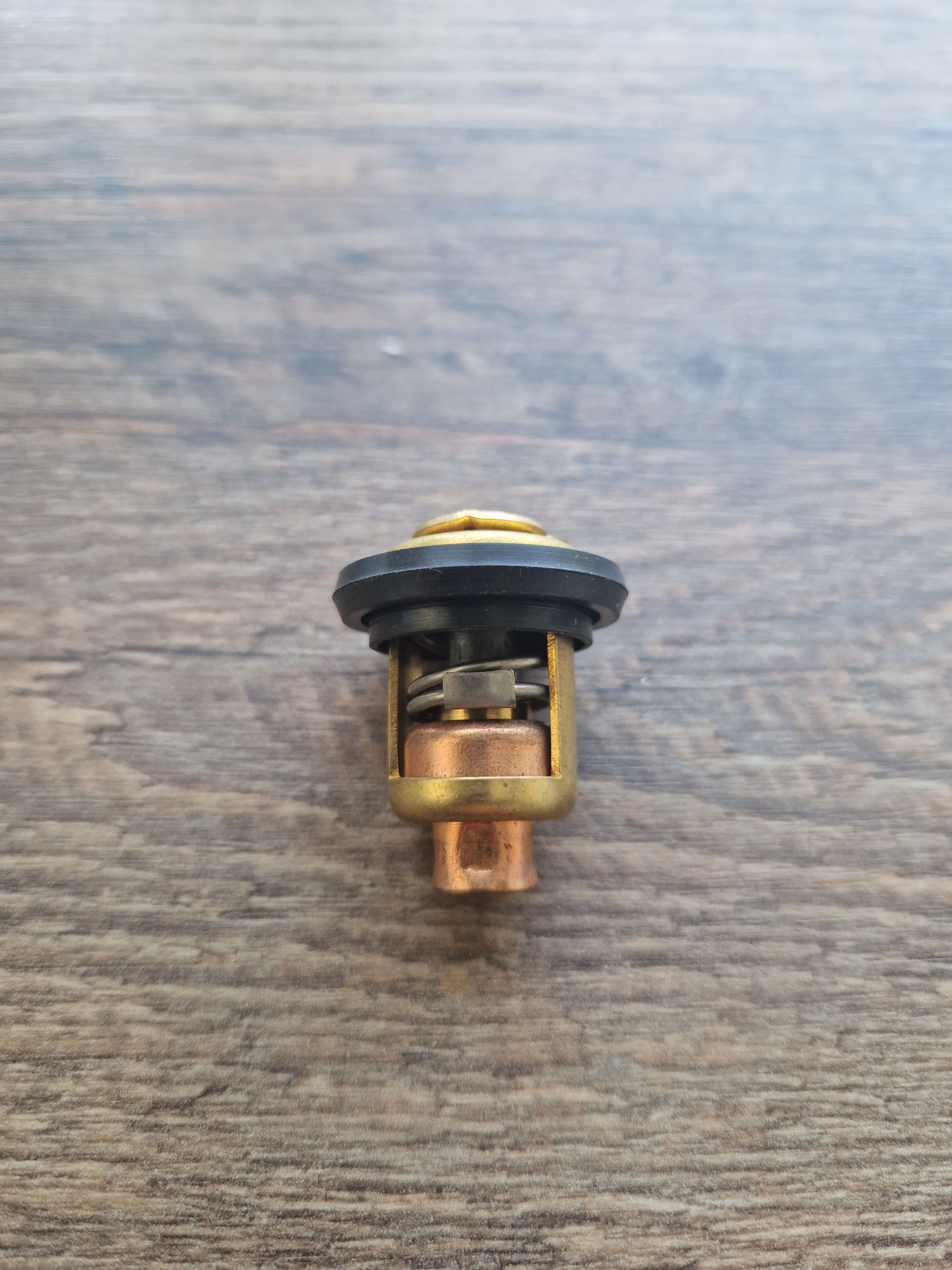 Parsun F15 Thermostat Teile Nr. F15-07000031 Mercury 825212001